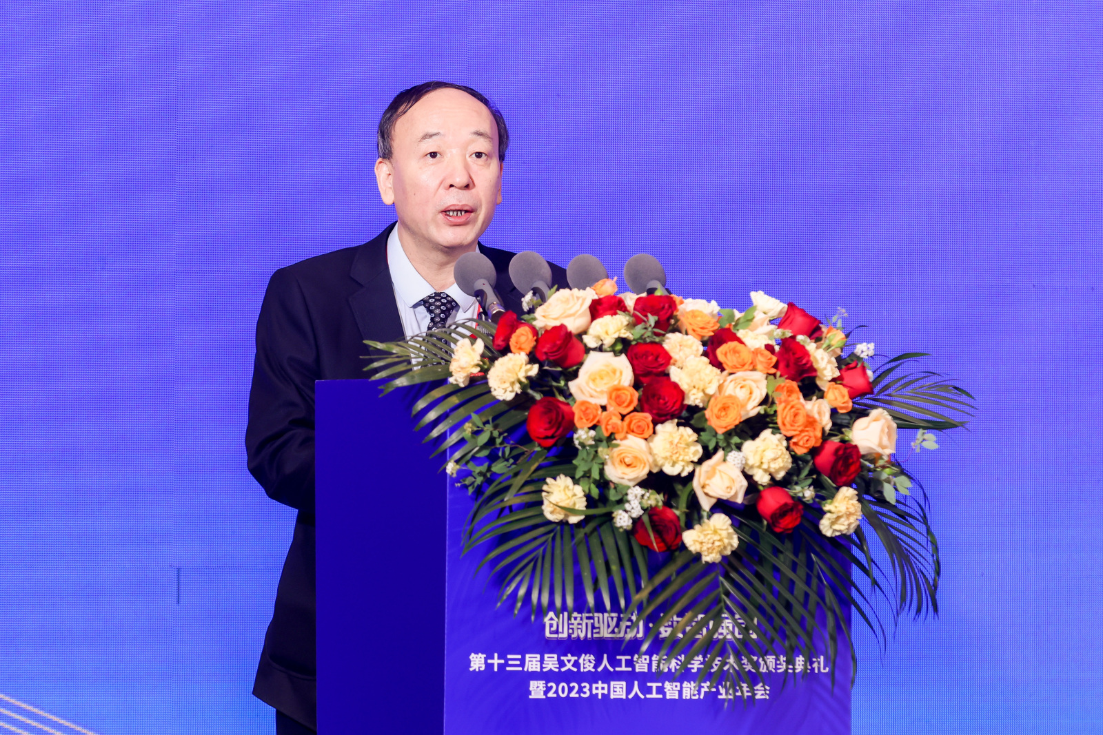 中国人工智能学会党委书记、副理事长，中国工程院院士赵春江致辞